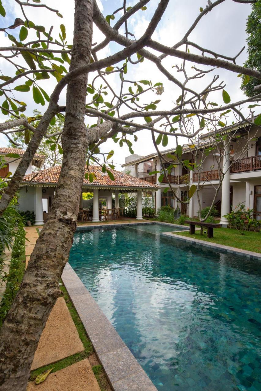 Bilin Tree House Galle Exterior foto